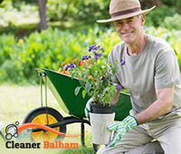 Gardener in Balham
